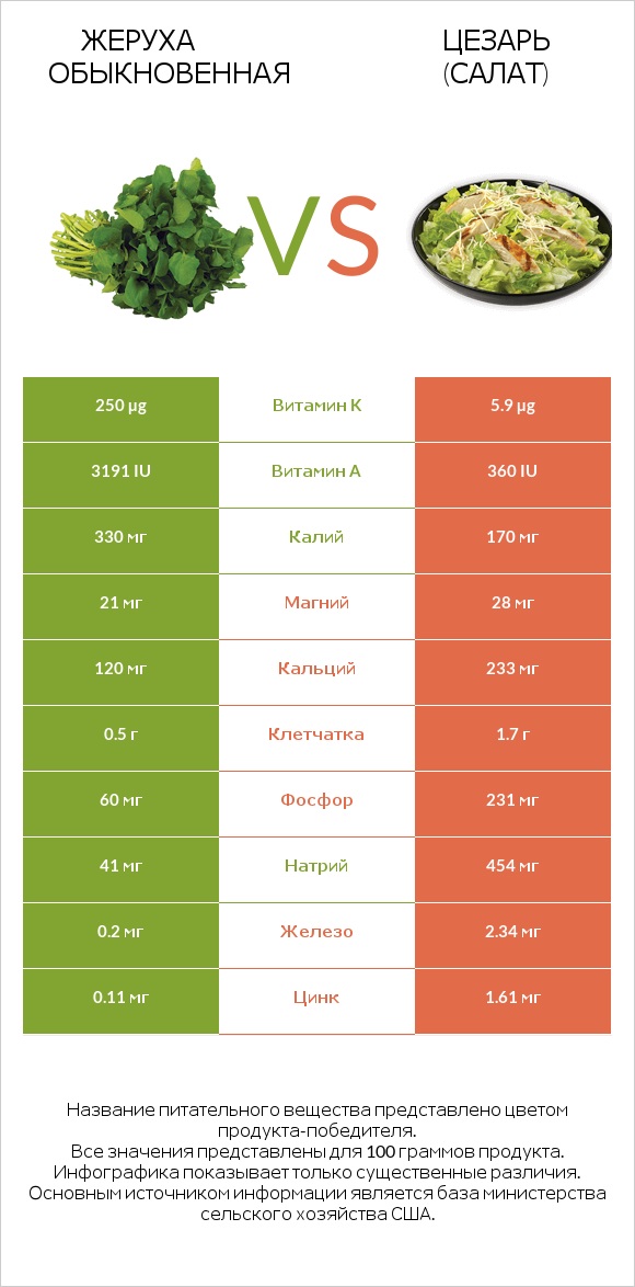Жеруха обыкновенная vs Цезарь (салат) infographic