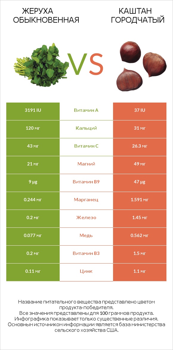 Жеруха обыкновенная vs Каштан городчатый infographic