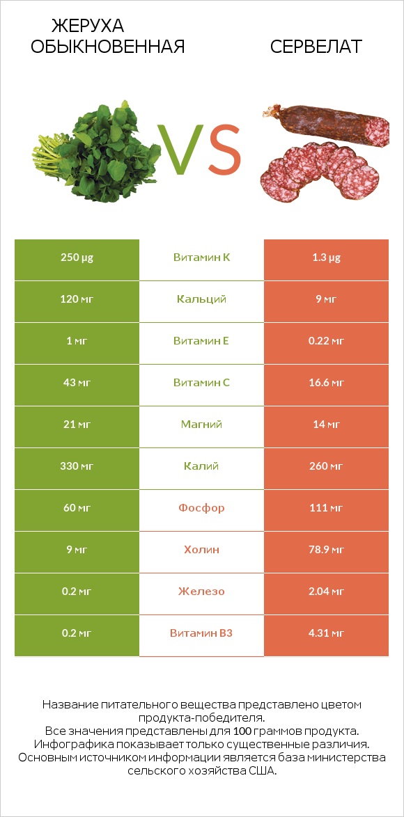 Жеруха обыкновенная vs Сервелат infographic