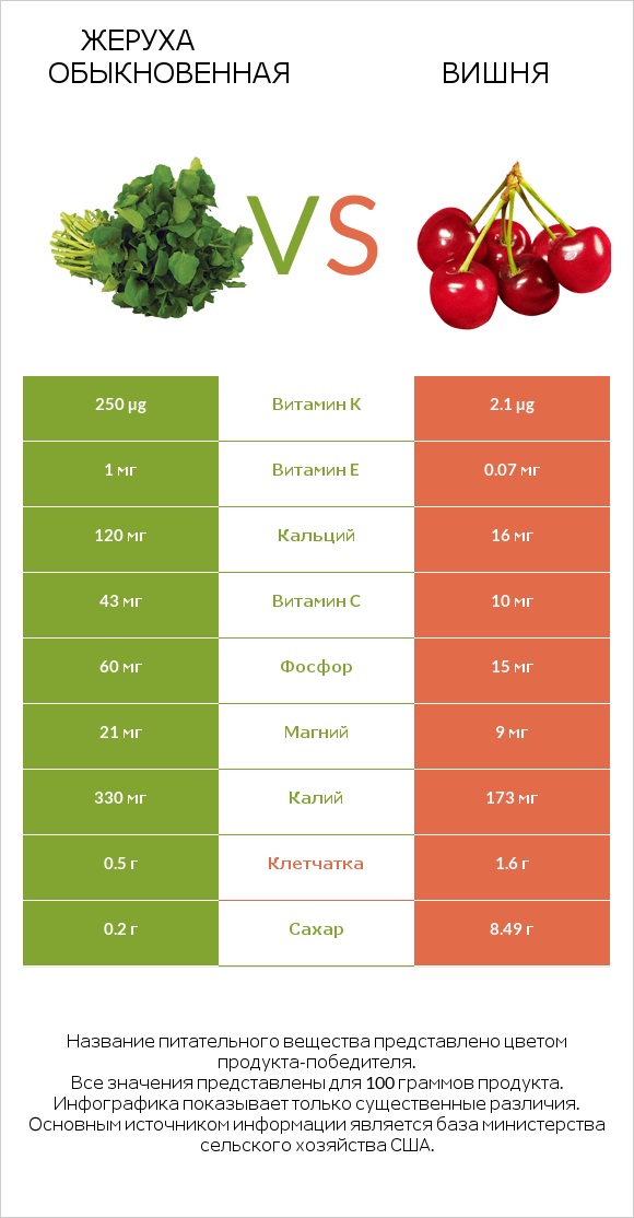 Жеруха обыкновенная vs Вишня infographic