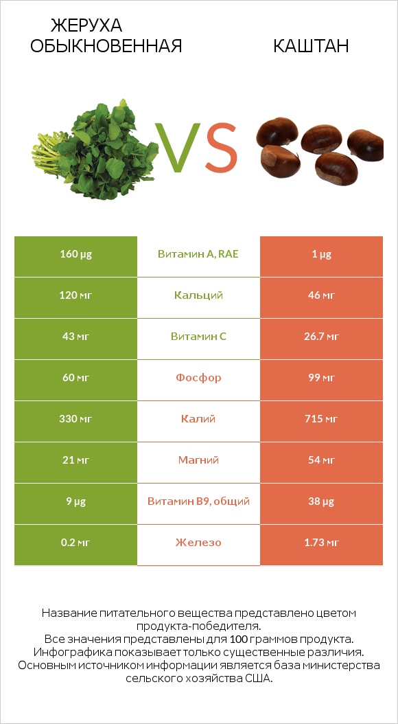 Жеруха обыкновенная vs Каштан infographic