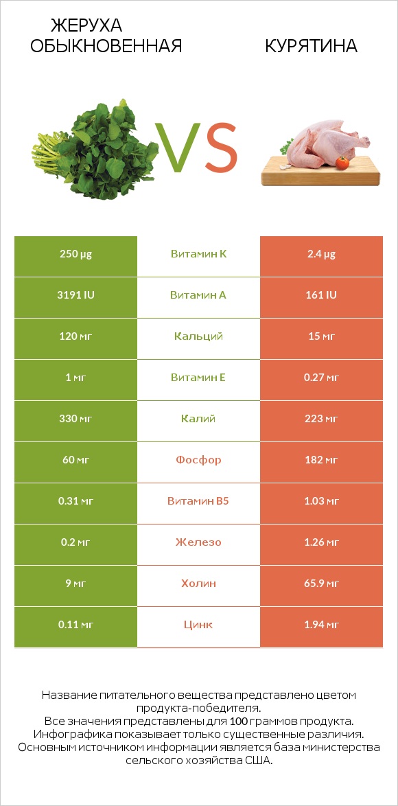 Жеруха обыкновенная vs Курятина infographic