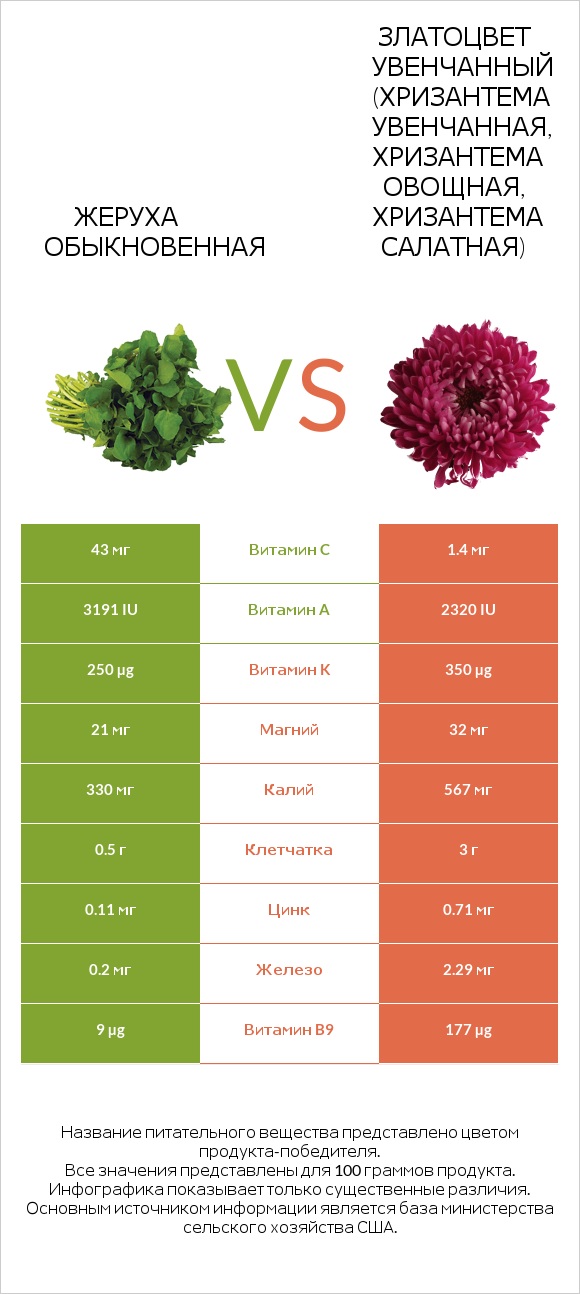 Жеруха обыкновенная vs Златоцвет увенчанный (хризантема увенчанная, хризантема овощная, хризантема салатная) infographic