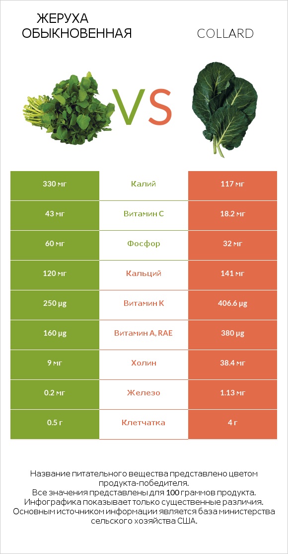 Жеруха обыкновенная vs Коллард (капуста листовая) infographic