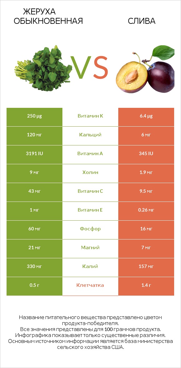 Жеруха обыкновенная vs Слива infographic