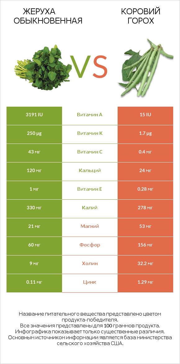 Жеруха обыкновенная vs Коровий горох infographic