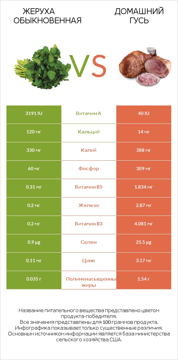Жеруха обыкновенная vs Домашний гусь infographic