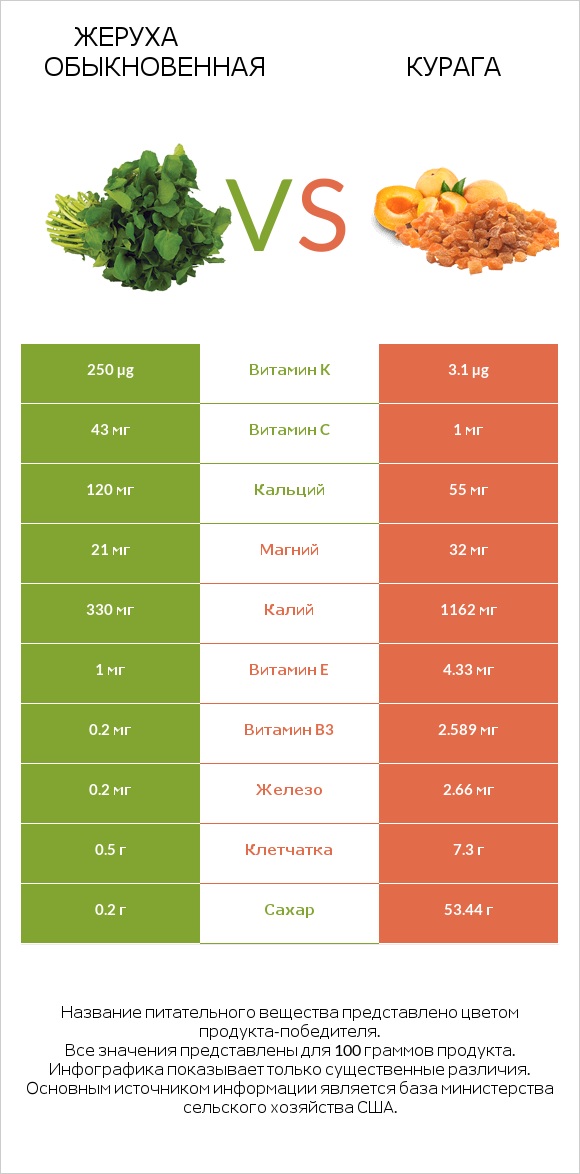 Жеруха обыкновенная vs Курага infographic