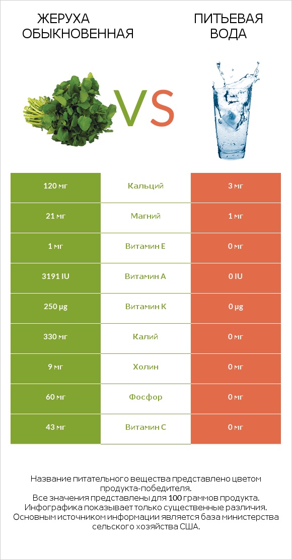 Жеруха обыкновенная vs Питьевая вода infographic