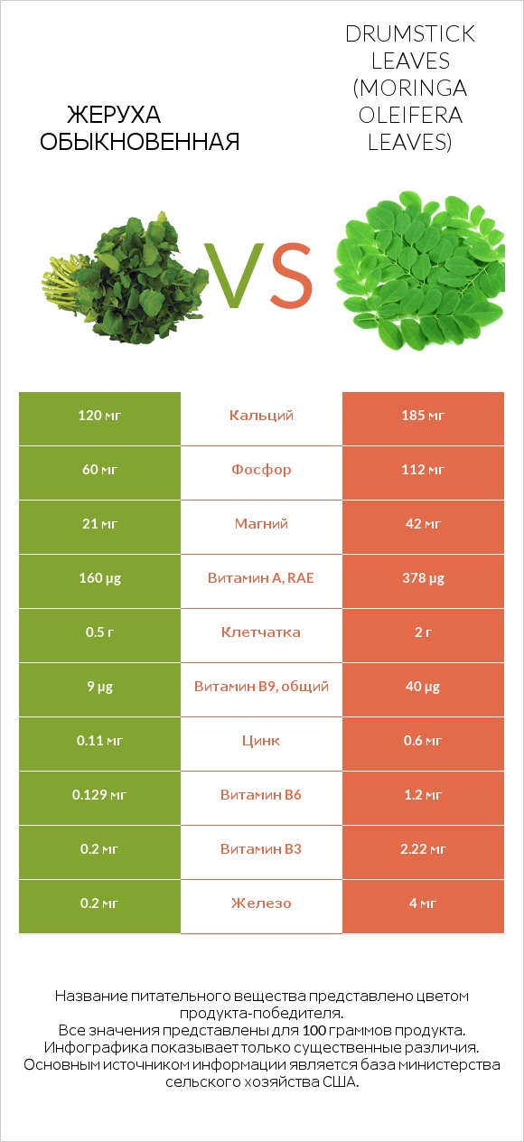 Жеруха обыкновенная vs Листья моринги infographic