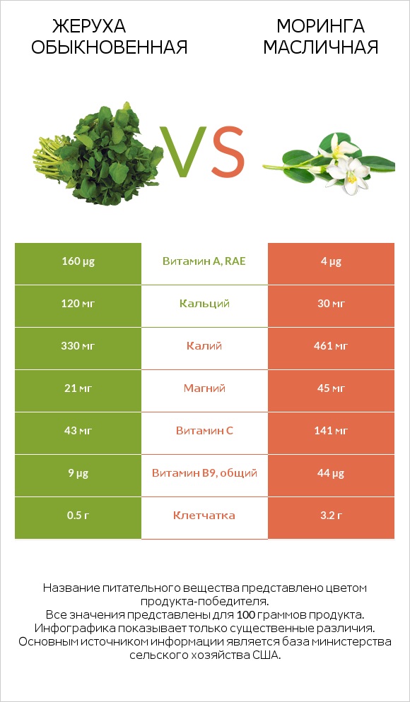 Жеруха обыкновенная vs Моринга масличная infographic