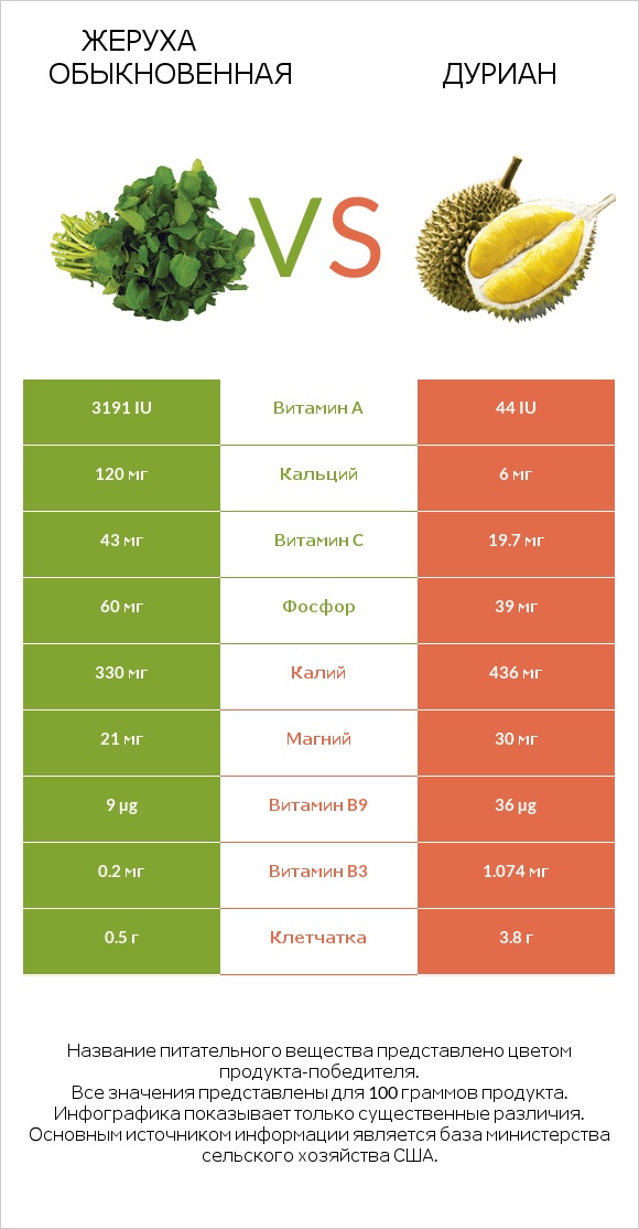 Жеруха обыкновенная vs Дуриан infographic