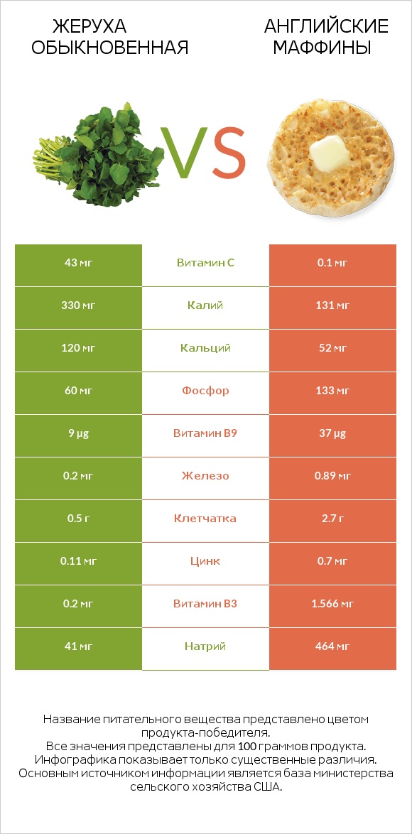 Жеруха обыкновенная vs Английские маффины infographic
