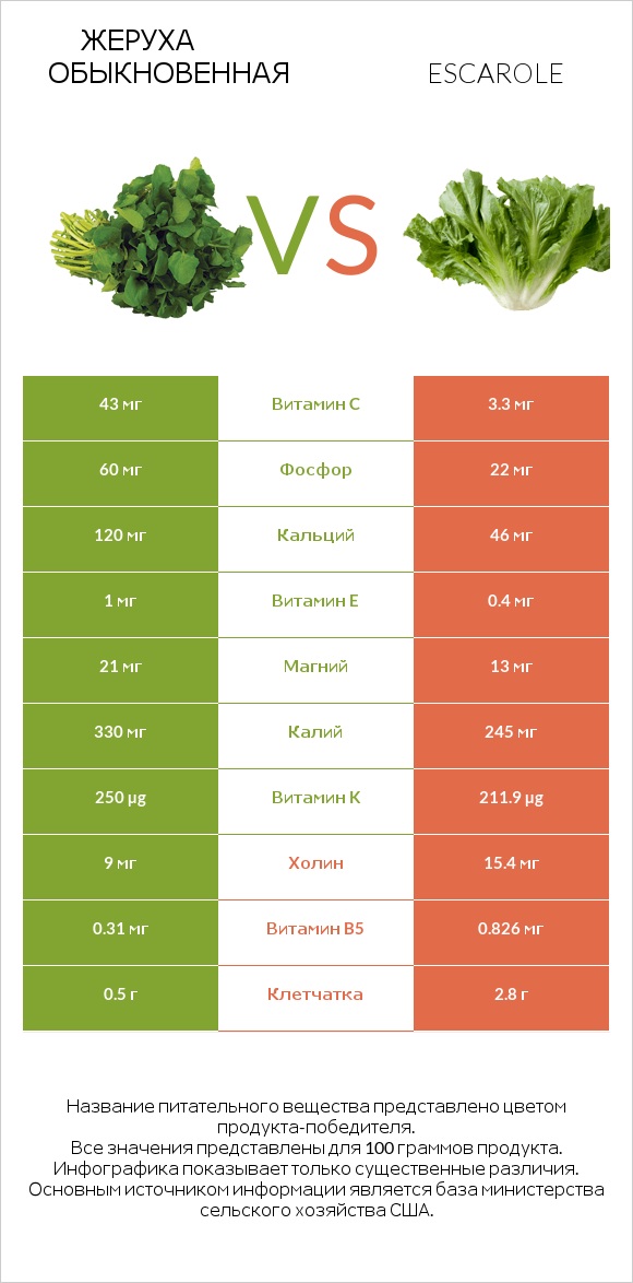 Жеруха обыкновенная vs Салат Эскарол (эскариоль) infographic