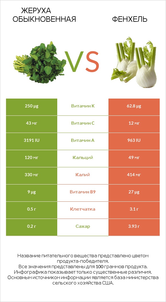 Жеруха обыкновенная vs Фенхель infographic