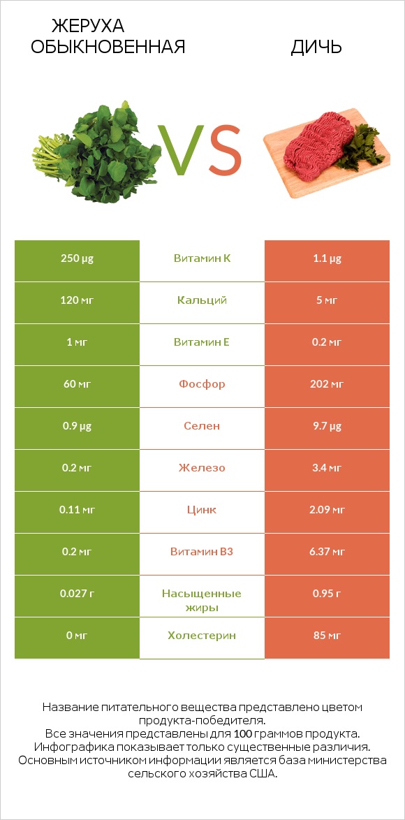 Жеруха обыкновенная vs Дичь infographic