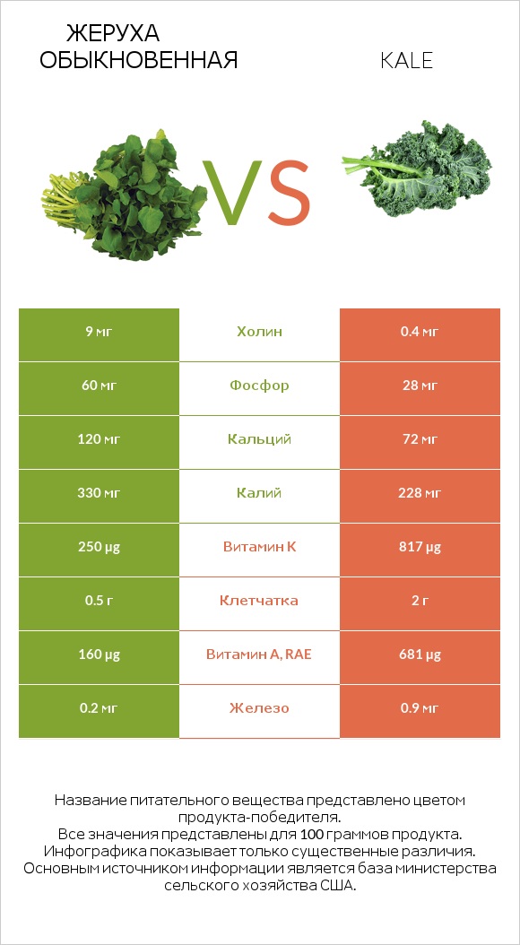 Жеруха обыкновенная vs Кудрявая капуста (кале, грюнколь, браунколь) infographic