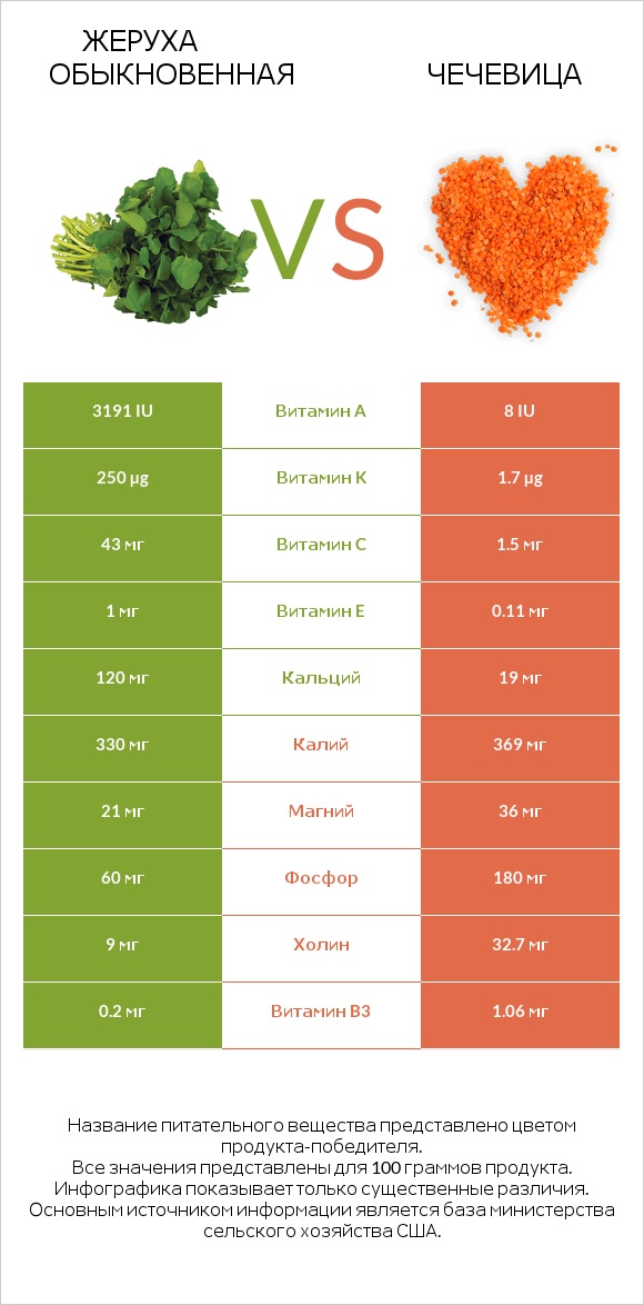 Жеруха обыкновенная vs Чечевица infographic