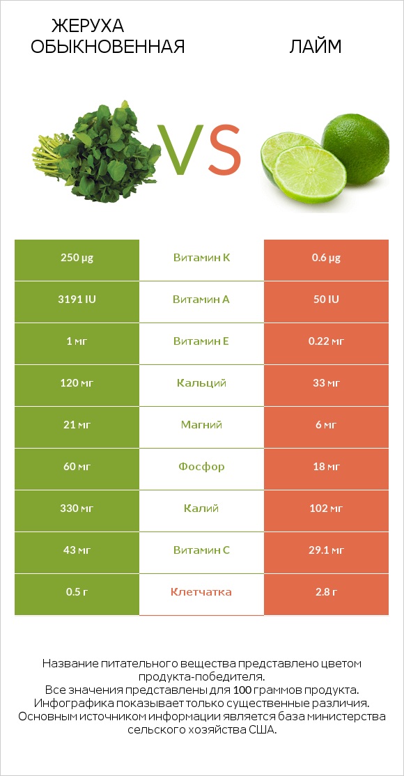 Жеруха обыкновенная vs Лайм infographic