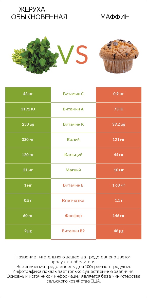 Жеруха обыкновенная vs Маффин infographic