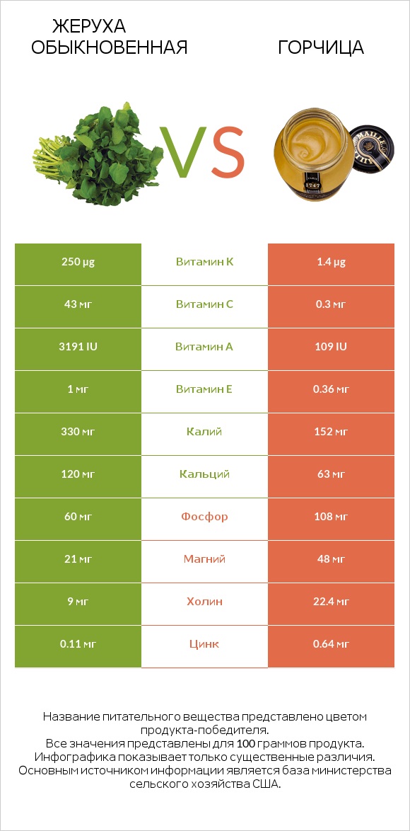 Жеруха обыкновенная vs Горчица infographic