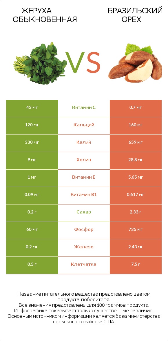 Жеруха обыкновенная vs Бразильский орех infographic