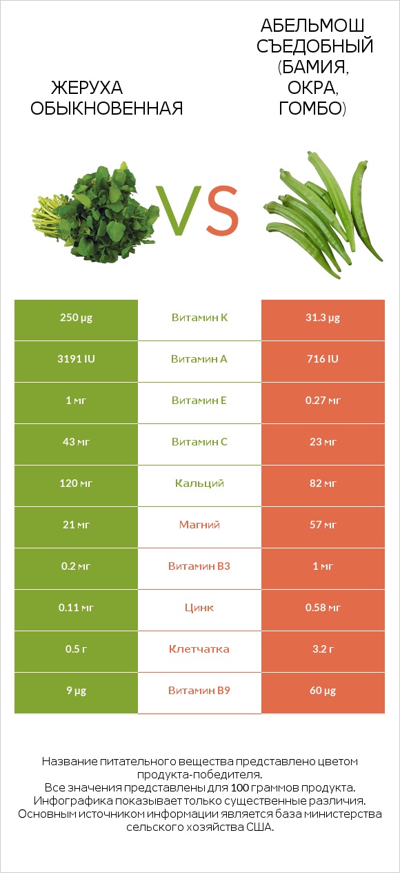 Жеруха обыкновенная vs Абельмош съедобный (бамия, окра, гомбо) infographic