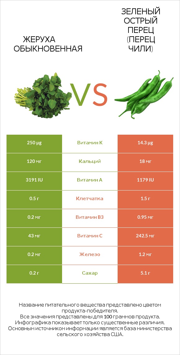 Жеруха обыкновенная vs Зеленый острый перец (перец чили) infographic