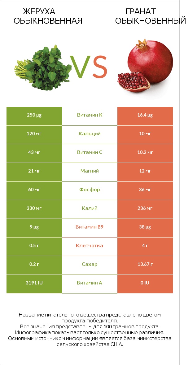 Жеруха обыкновенная vs Гранат обыкновенный infographic