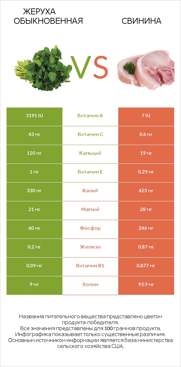 Жеруха обыкновенная vs Свинина infographic