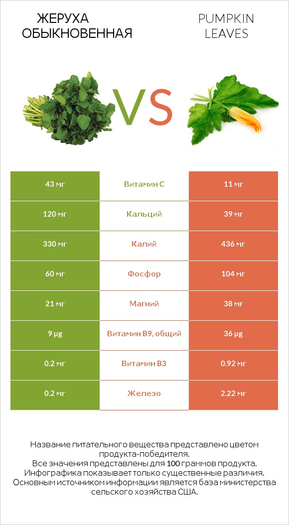 Жеруха обыкновенная vs Листья тыквы infographic