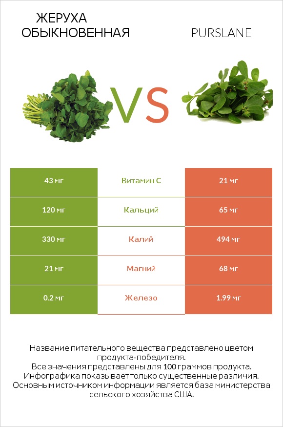 Жеруха обыкновенная vs Портулак огородный infographic