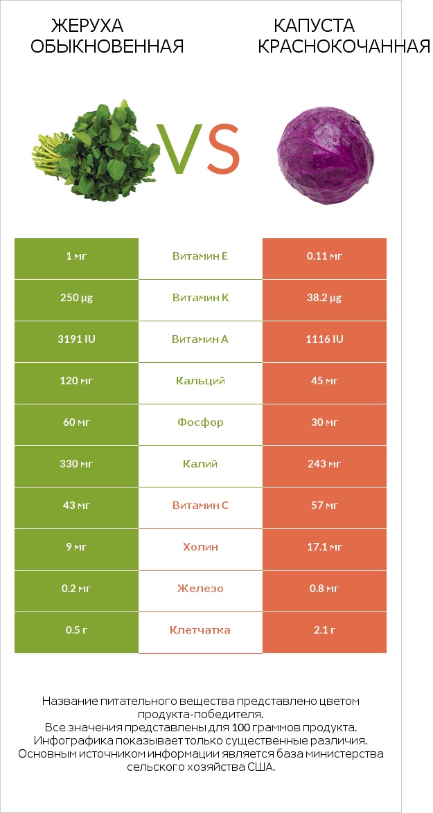 Жеруха обыкновенная vs Капуста краснокочанная infographic