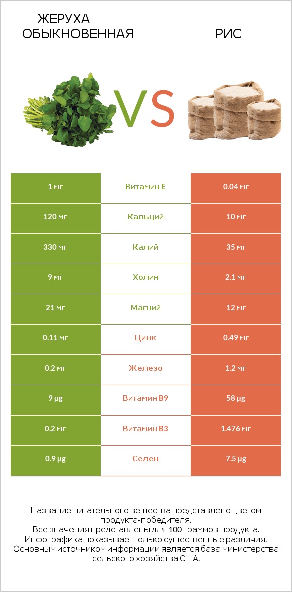 Жеруха обыкновенная vs Рис infographic