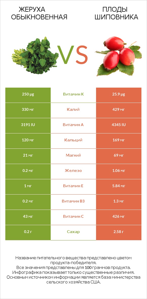 Жеруха обыкновенная vs Плоды шиповника infographic