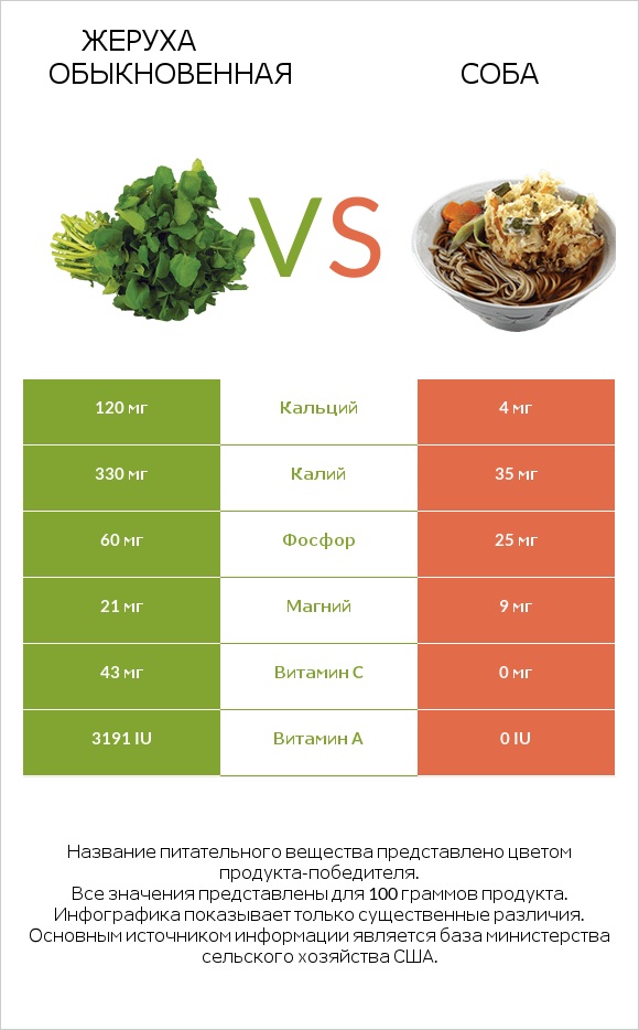 Жеруха обыкновенная vs Соба infographic