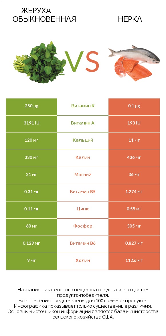 Жеруха обыкновенная vs Нерка infographic