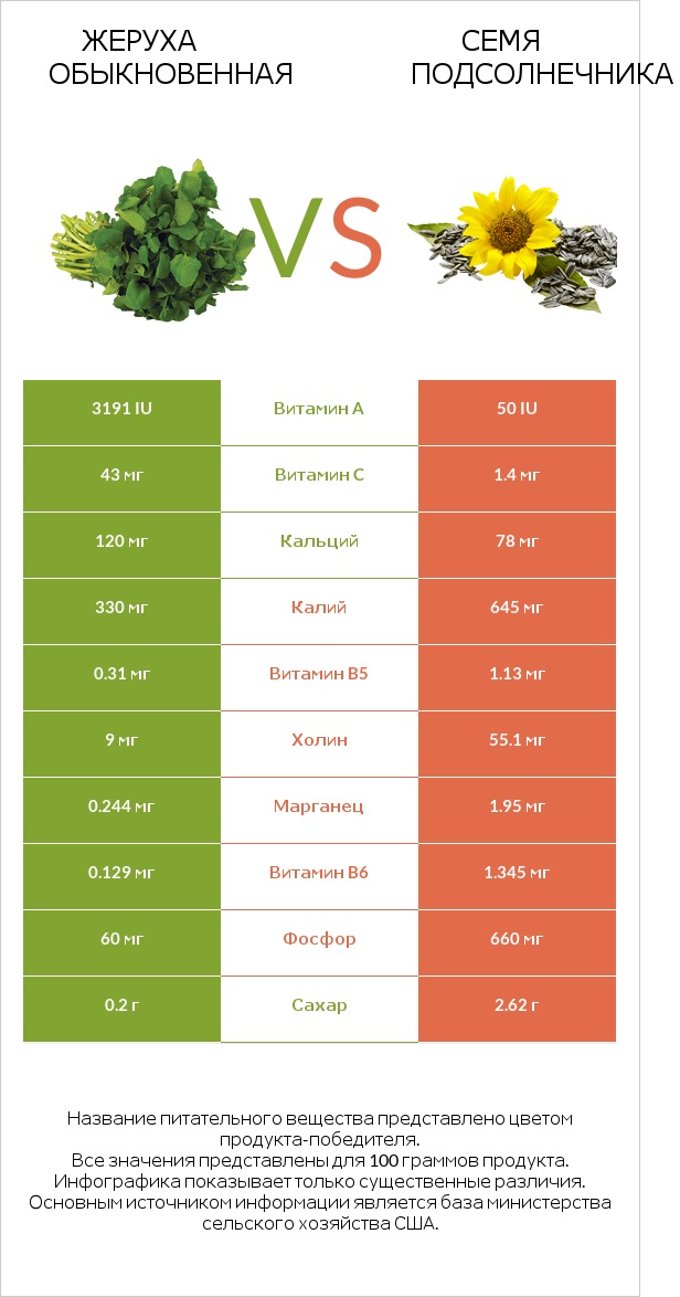 Жеруха обыкновенная vs Семя подсолнечника infographic