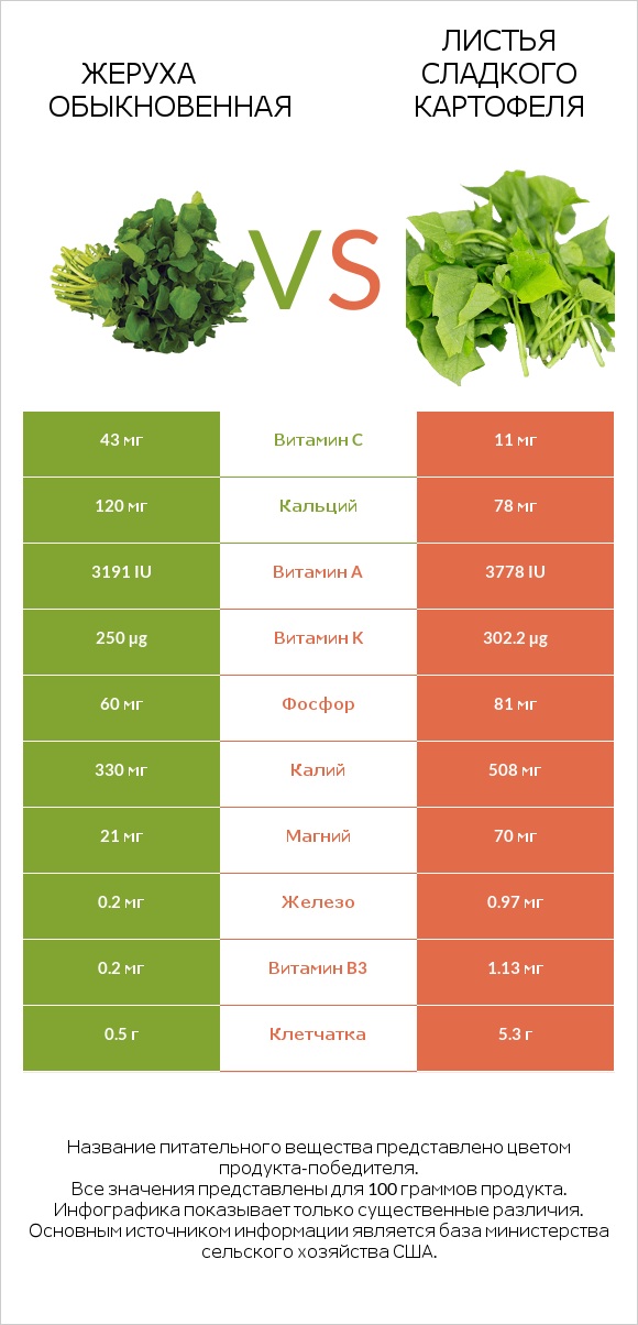 Жеруха обыкновенная vs Листья сладкого картофеля infographic