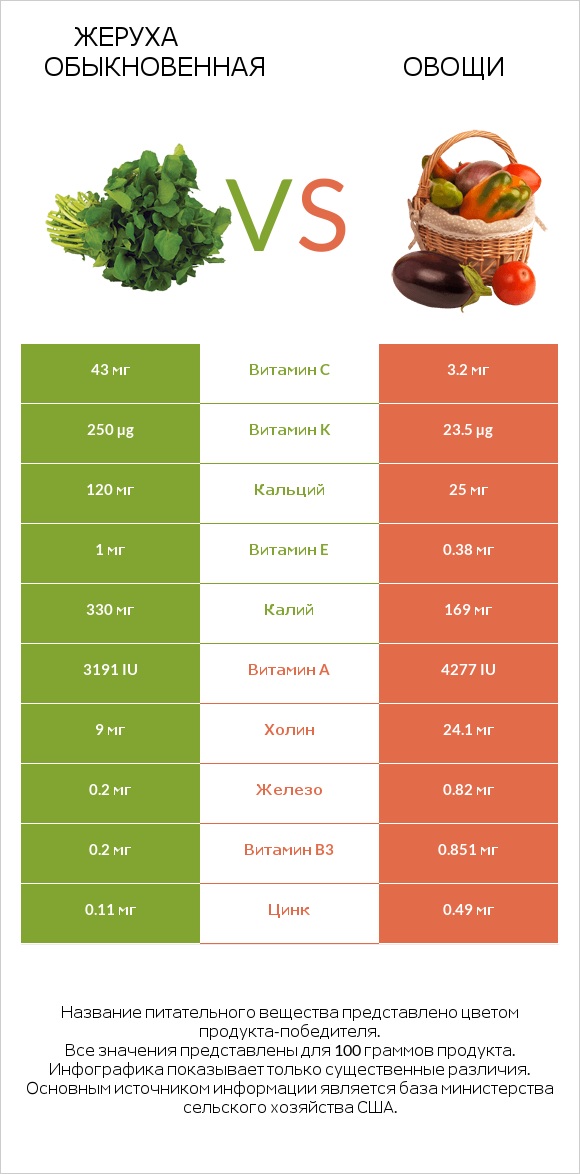 Жеруха обыкновенная vs Овощи infographic
