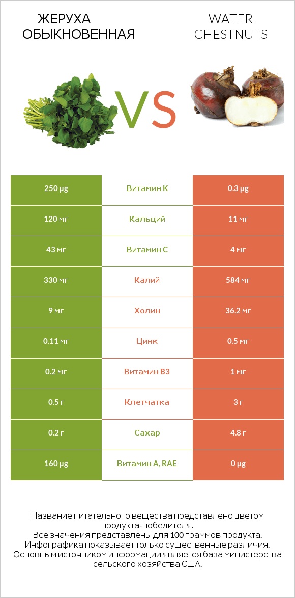 Жеруха обыкновенная vs Болотница сладкая (Китайский водяной орех, водяной каштан) infographic