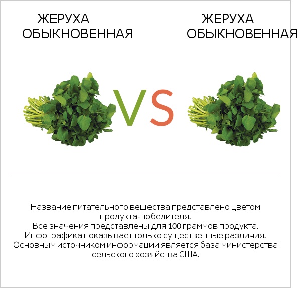 Жеруха обыкновенная vs Жеруха обыкновенная infographic