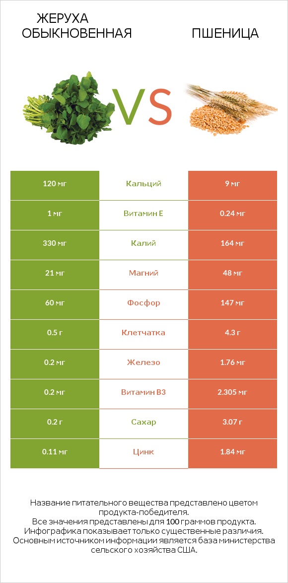 Жеруха обыкновенная vs Пшеница infographic