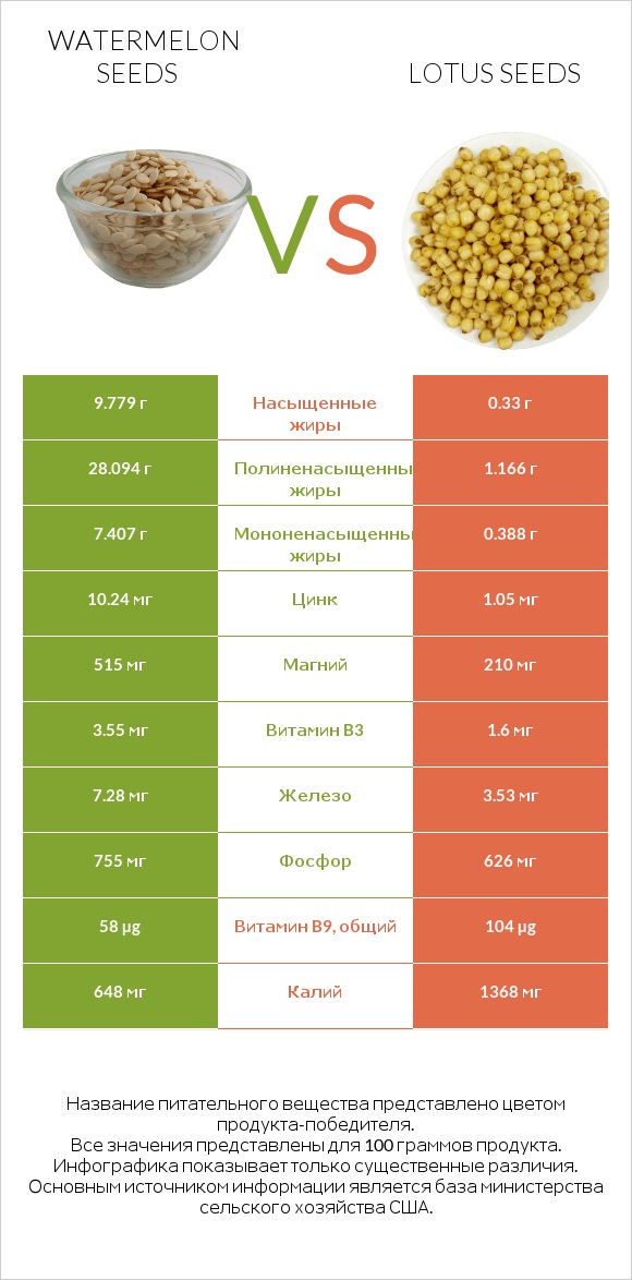 Watermelon seeds vs Lotus seeds infographic