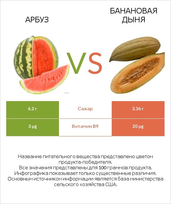 Арбуз vs Банановая дыня infographic