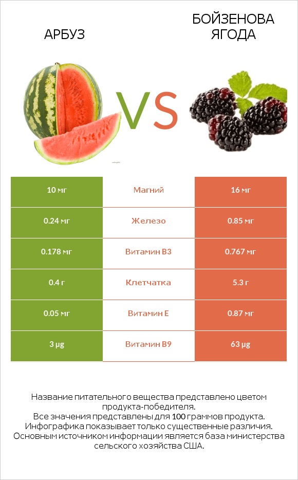 Арбуз vs Бойзенова ягода infographic