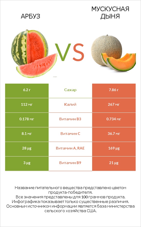 Арбуз vs Мускусная дыня infographic