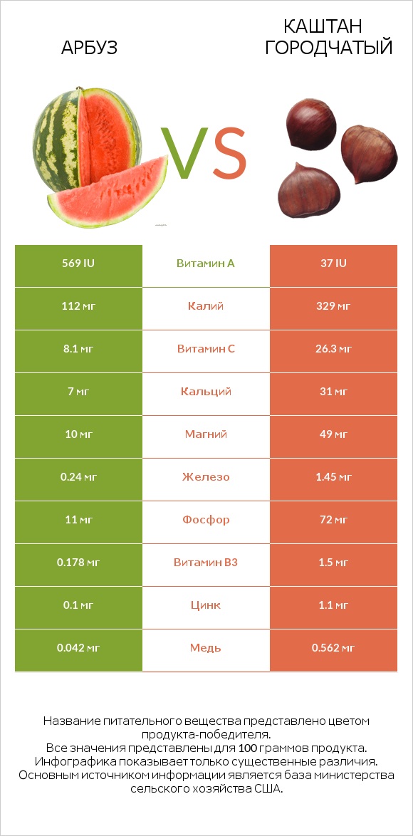 Арбуз vs Каштан городчатый infographic