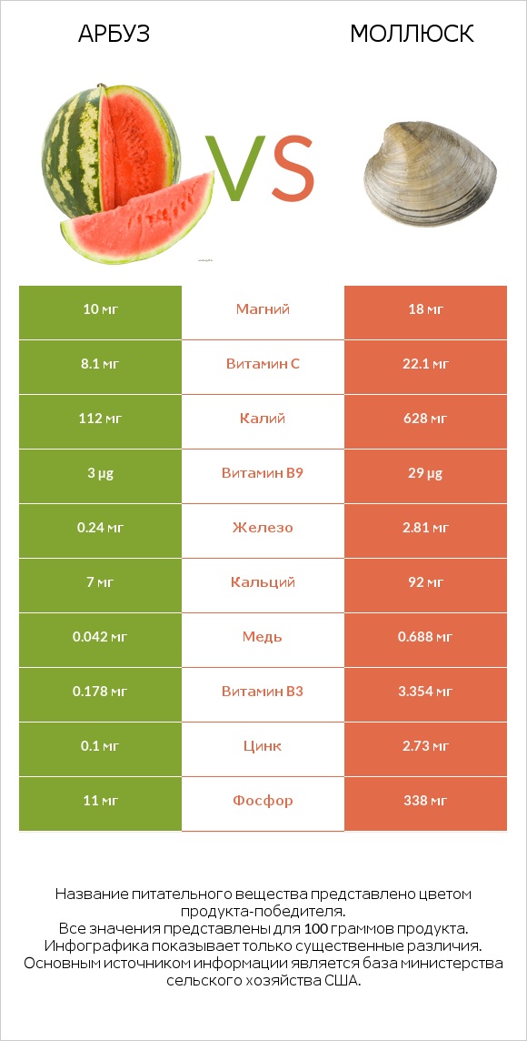 Арбуз vs Моллюск infographic