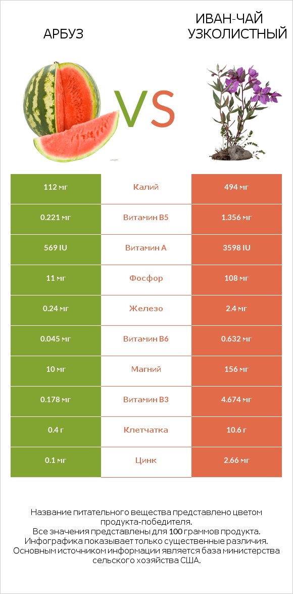Арбуз vs Иван-чай узколистный infographic